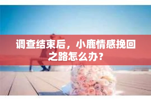 调查结束后，小鹿情感挽回之路怎么办？