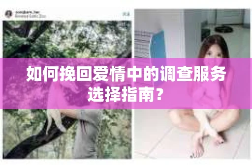 如何挽回爱情中的调查服务选择指南？