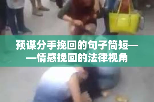 预谋分手挽回的句子简短——情感挽回的法律视角