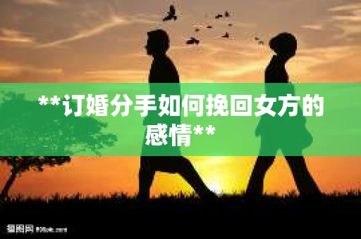 **订婚分手如何挽回女方的感情**