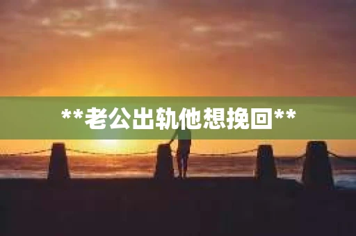 **老公出轨他想挽回**