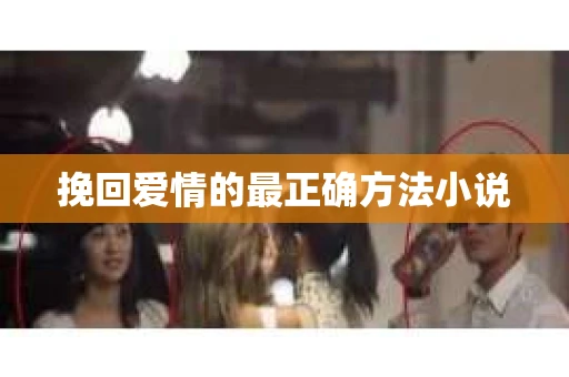 挽回爱情的最正确方法小说