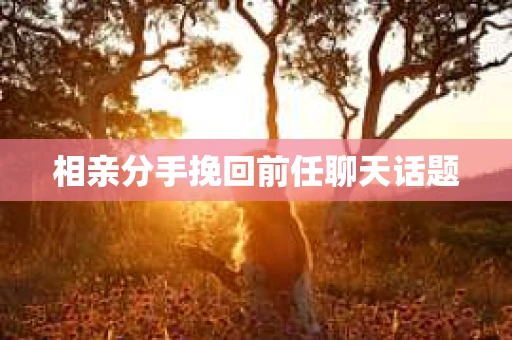 相亲分手挽回前任聊天话题