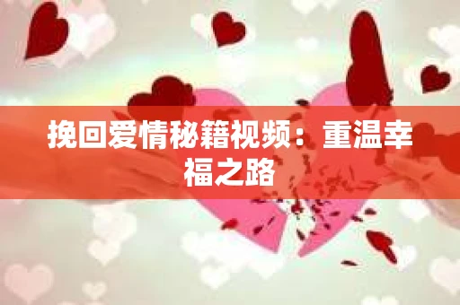 挽回爱情秘籍视频：重温幸福之路