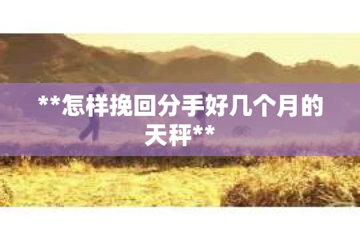 **怎样挽回分手好几个月的天秤**