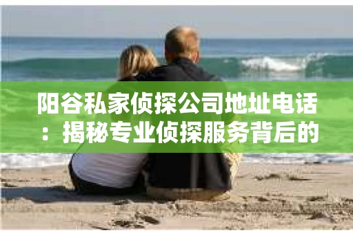 阳谷私家侦探公司地址电话:揭秘专业侦探服务背后的故事 阳谷私家侦探公司地址电话:揭秘专业侦探服务背后的故事