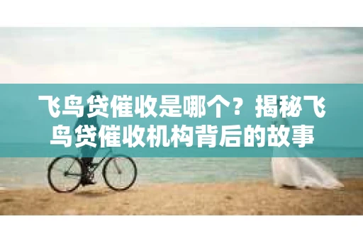 飞鸟贷催收是哪个？揭秘飞鸟贷催收机构背后的故事