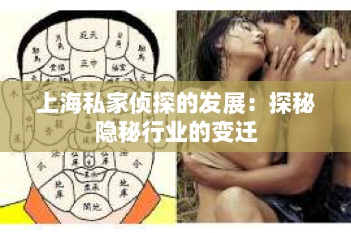 上海私家侦探的发展:探秘隐秘行业的变迁 上海私家侦探的发展:探秘隐秘行业的变迁