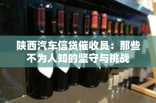 陕西汽车信贷催收员：那些不为人知的坚守与挑战