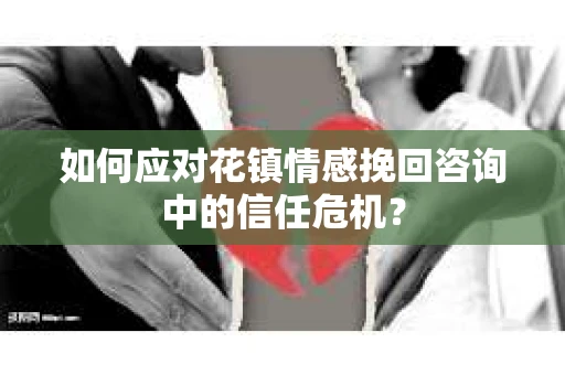 如何应对花镇情感挽回咨询中的信任危机？