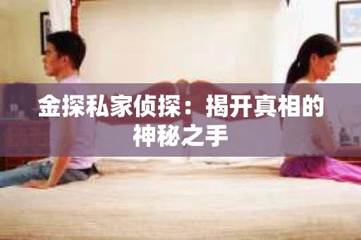 金探私家侦探：揭开真相的神秘之手