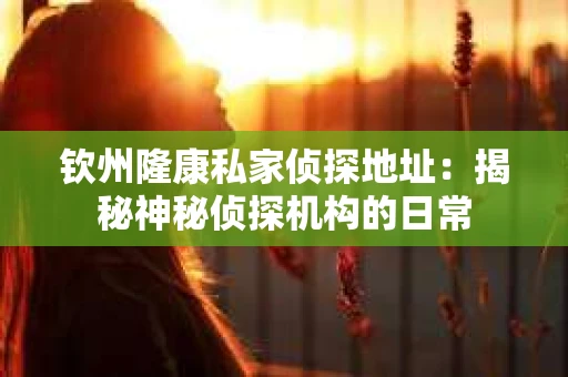 钦州隆康私家侦探地址：揭秘神秘侦探机构的日常