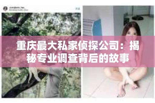 重庆最大私家侦探公司：揭秘专业调查背后的故事