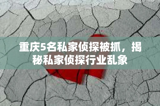 重庆5名私家侦探被抓，揭秘私家侦探行业乱象