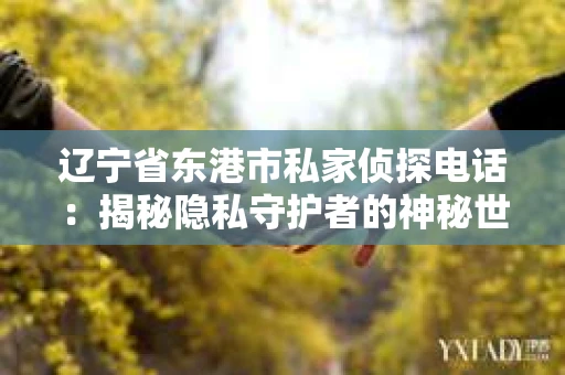 辽宁省东港市私家侦探电话：揭秘隐私守护者的神秘世界