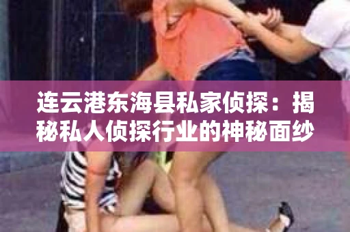 连云港东海县私家侦探：揭秘私人侦探行业的神秘面纱