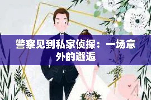 警察见到私家侦探：一场意外的邂逅