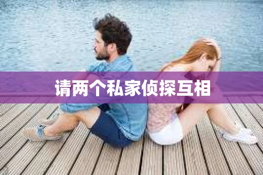 请两个私家侦探互相