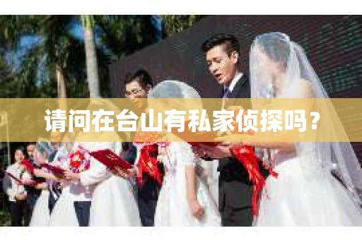 请问在台山有私家侦探吗？