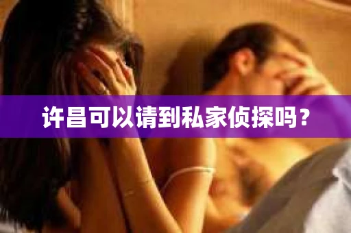 许昌可以请到私家侦探吗？