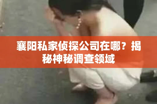 襄阳私家侦探公司在哪？揭秘神秘调查领域