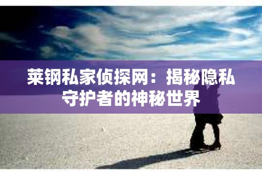 莱钢私家侦探网：揭秘隐私守护者的神秘世界