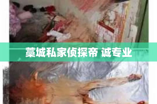 藁城私家侦探帝 诚专业