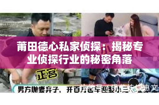 莆田德心私家侦探：揭秘专业侦探行业的秘密角落