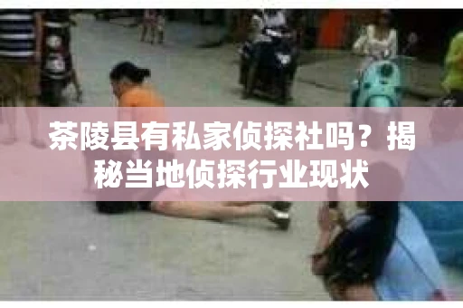 茶陵县有私家侦探社吗？揭秘当地侦探行业现状