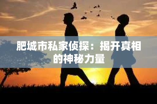 肥城市私家侦探：揭开真相的神秘力量