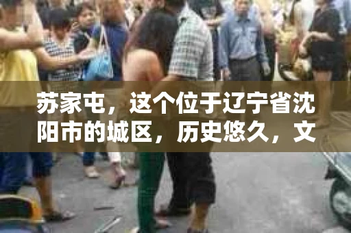 苏家屯，这个位于辽宁省沈阳市的城区，历史悠久，文化底蕴深厚。近年来，随着社会的发展，人们对于私家侦探的需求也逐渐增加。那么，苏家屯有私家侦探吗？今天，我们就来聊聊这个话题。