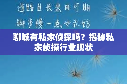 聊城有私家侦探吗?揭秘私家侦探行业现状 聊城有私家侦探吗?揭秘私家侦探行业现状