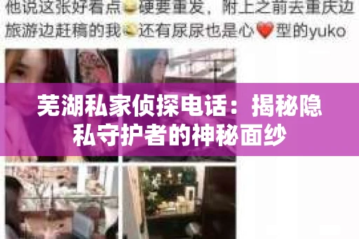 芜湖私家侦探电话：揭秘隐私守护者的神秘面纱