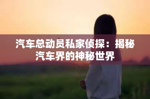 汽车总动员私家侦探：揭秘汽车界的神秘世界