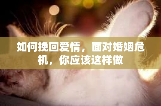 如何挽回爱情，面对婚姻危机，你应该这样做