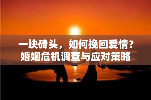 一块砖头，如何挽回爱情？婚姻危机调查与应对策略