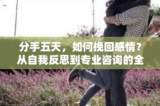 分手五天，如何挽回感情？从自我反思到专业咨询的全面解决方案
