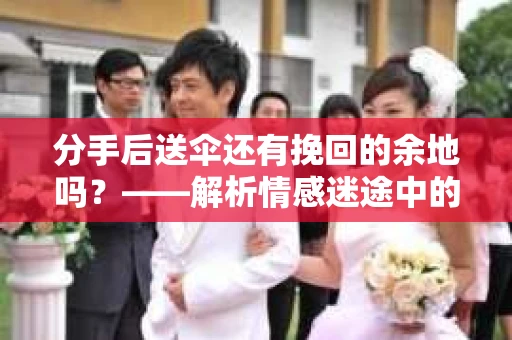 分手后送伞还有挽回的余地吗？——解析情感迷途中的决策