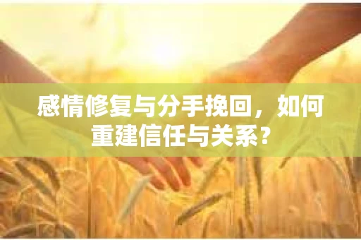 感情修复与分手挽回，如何重建信任与关系？