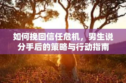 如何挽回信任危机，男生说分手后的策略与行动指南