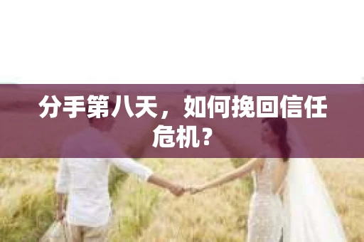 分手第八天，如何挽回信任危机？