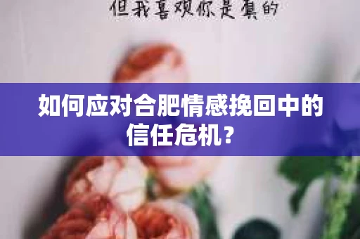 如何应对合肥情感挽回中的信任危机？